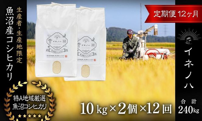 ＜定期便・全12回＞【令和7年産】魚沼産コシヒカリ「イネノハ 」精米(10kg×2)×12回 お米 白米 ご飯 産地直送 ミネラル 栄養分 こだわり 人気 新鮮 