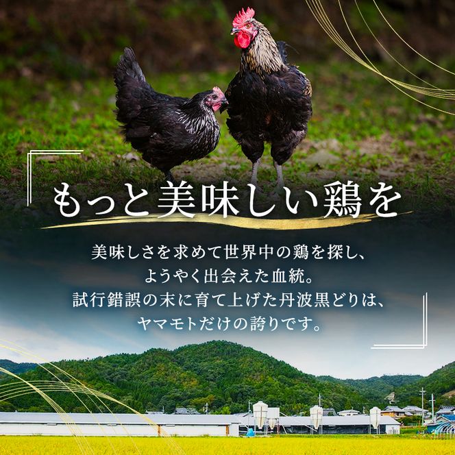 3ヶ月 定期便 地鶏 丹波 黒どり ムネ 2kg 鶏肉 冷凍 丹波山本 高タンパク低カロリー たんぱく質 ボリューム 筋トレ チキン 蒸し鶏 