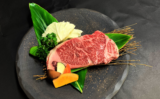 【定期便 6回】石垣島きたうち牧場プレミアムビーフ 詰め合わせ 牛肉 肉 定期 肉定期便 6ヶ月 6ヵ月 しゃぶしゃぶ ステーキ 切り落し 切り落とし 焼き肉 すき焼き サーロイン モモ 赤身 AM-17