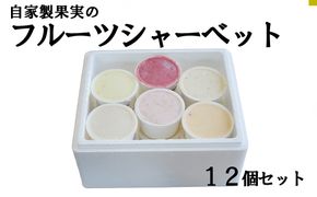 自家生産果実のフルーツシャーベット  12個セット　果物 くだもの 山梨 やまなし 富士川町
