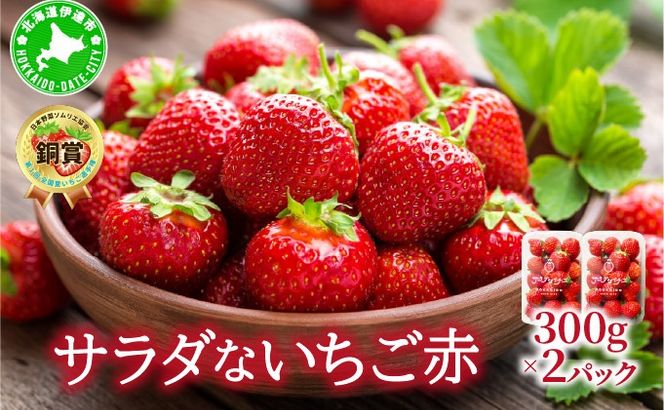 ＜2026年先行予約＞ サラダないちご（赤）【ecg-002】