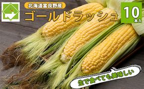 【2026年夏発送】とうもろこし ゴールドラッシュ 10本 北海道 富良野産 とうきび コーン