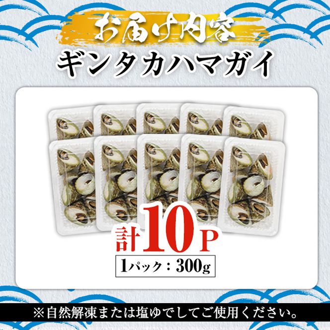 数量限定！ギンタカハマガイ(三角みな)ボイル(300g×10パック)国産 鹿児島県産 貝 魚介類 おかず 料理 おつまみ【福美丸水産】akn033-22