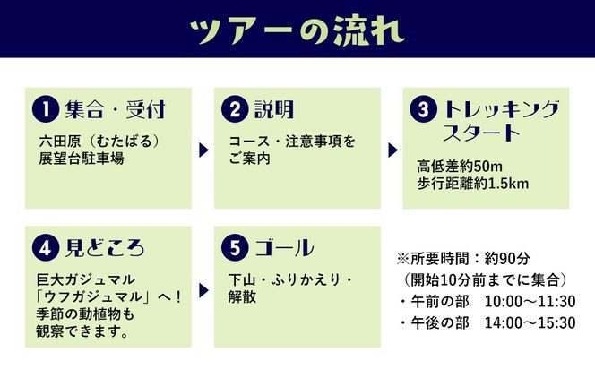 沖縄県北部やんばる・ガジュマルの王様に会いに行こう♪【6名様】
