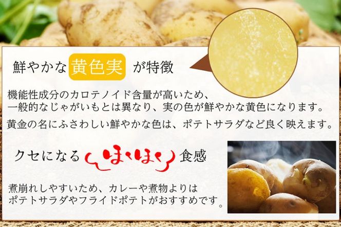 AK077 じゃがいも ながさき黄金 出島 じゃがいも食べ比べセット 計5kg [ 野菜 芋 ジャガイモ じゃがいも 5キロ ほくほく 国産 常備野菜 合同会社YT 長崎県 島原市 ]
