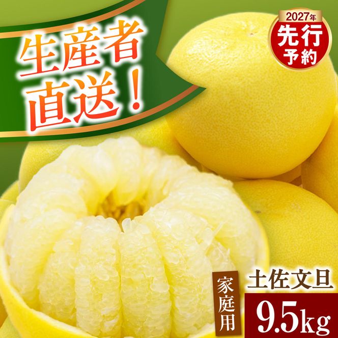 先行予約】生産者直送 土佐文旦 約9.5kg [2L～4L] 家庭用 ＜2027年1月