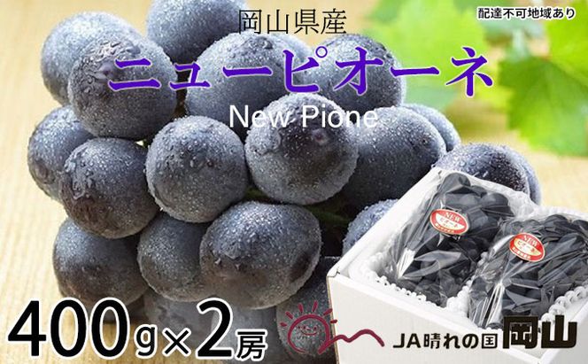 ぶどう 2026年 先行予約 ニュー ピオーネ 約400g×2房 ブドウ 葡萄  岡山県産 国産 フルーツ 果物 ギフト 果物類 