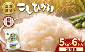 【定期便6ヶ月】【令和8年産】茨城コシヒカリ 5kg×1袋【精米】 | お米 米 こしひかり 茨城県産 白米 ブランド米 小分け