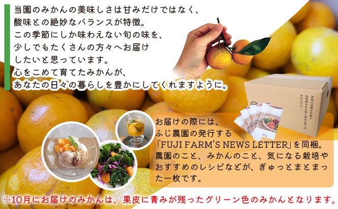 【2回定期便】みかん ふじ農園の露地みかん 訳あり品 10kg(2S～M) 5kg×2箱 計10kg 国産 小玉 蜜柑 ミカン 柑橘 果物 フルーツ 訳アリ ご家庭用 自宅用 ふじ農園 高知県 香南市 Wfn-0023