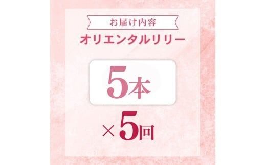 定期便5回 ユリ オリエンタルリリー 5本 花 切り花 プレゼント 贈り物 ギフト 誕生日 記念日 つぼみ 大輪 ピンク 白 香り 優雅 華麗 ブーケ フラワーアレンジメント 観賞用 インテリア 季節の花 高級感 花束 生花 福田園芸 オリエンタルハイブリッド 安芸市 高知県