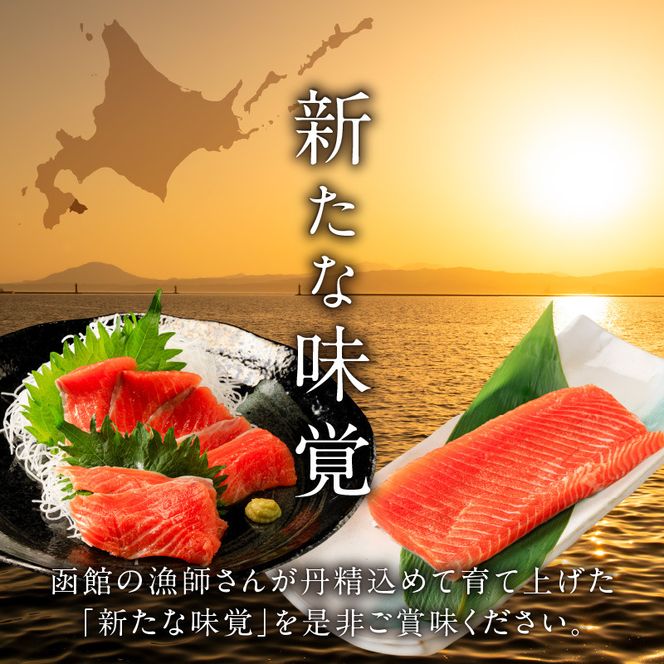 【2026年6月発送　先行予約】函館サーモン 750g プレミアム 養殖 サーモン 新鮮 鮮度抜群 脂乗り 旨味 凝縮 水揚げ前 餌止め 活締め 漁師 こだわり 魚 海鮮 海の幸 冷凍 お取り寄せグルメ お取り寄せ 国産 北海道 函館市 送料無料_HD231-013