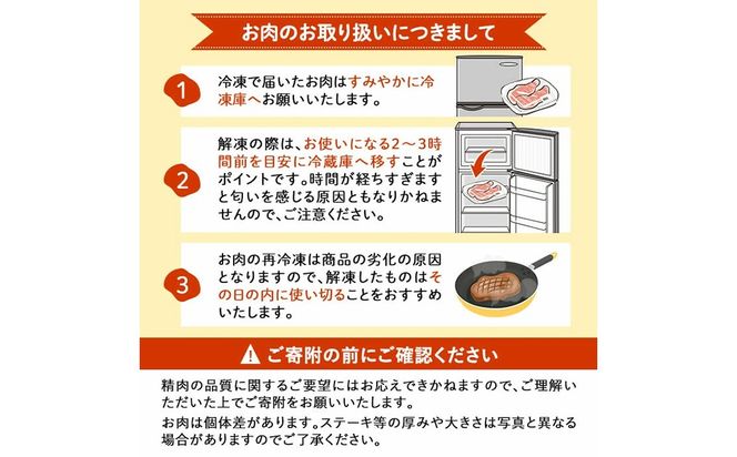 鹿児島県志布志市産横峯黒毛和牛の赤身焼肉(計450g・225g×2P) b0-195