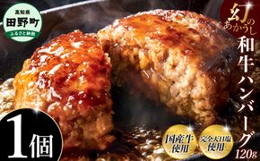 幻のあかうし和牛ハンバーグ 1個入り 1個120g 田野屋青蜂 白鯆 完全天日塩練り込み 肉 お肉 国産牛 土佐あかうし 四万十ポーク おかず 惣菜 おいしい お取り寄せ 冷凍 配送 高知県 田野町