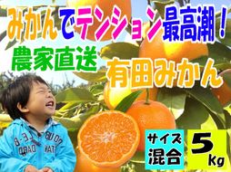有田みかん5キロ　サイズ混合   CB022