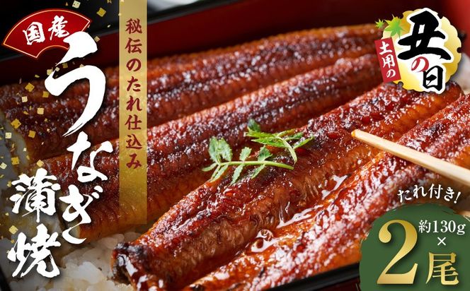 kgp0056-1d 【土用の丑の日までにお届け】国産うなぎ 約130g×2尾【高評価 特製タレ付 蒲焼 鰻 ウナギ 無頭 炭火焼き 備長炭 手焼き レンジ 温めるだけ 簡単調理】