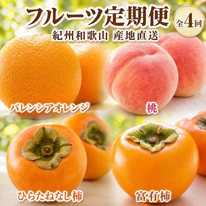 【7・8・10・11月 全4回】紀州和歌山産旬のフルーツセット（バレンシア・桃・ひらたねなし柿・富有柿）【UT81】 303446_XF91144