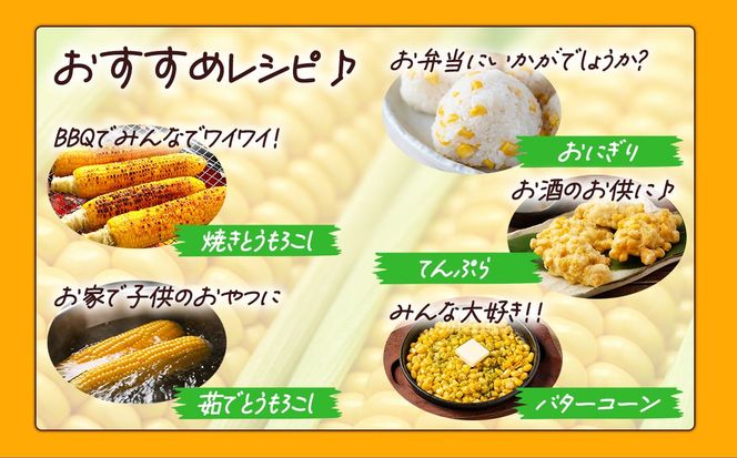 【先行予約】朝採りとうもろこし 10㎏ お楽しみボックス（その他）