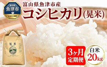 [3ヶ月定期便][令和6年度米]「魚津のコシヒカリ(晃米)」20kg(白米) | 環境配慮 MK農産 お米 ブランド米 銘柄米 精米 ご飯 おにぎり 産地直送 甘み 旨味 香り ※2024年9月中旬頃より順次発送 ※北海道・沖縄・離島への配送不可