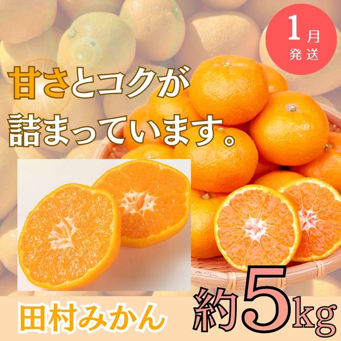 【全3回定期便】旬のフルーツ定期便 【田村みかん /  紀州デコ(不知火) /  桃】 ～和歌山の旬をお届け～ / みかん ミカン 温州みかん 有田みかん 不知火 デコポン 桃 もも モモ 柑橘 フル
