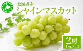 ＜先行予約＞ シャインマスカット 2房（1kg以上）化粧箱入り