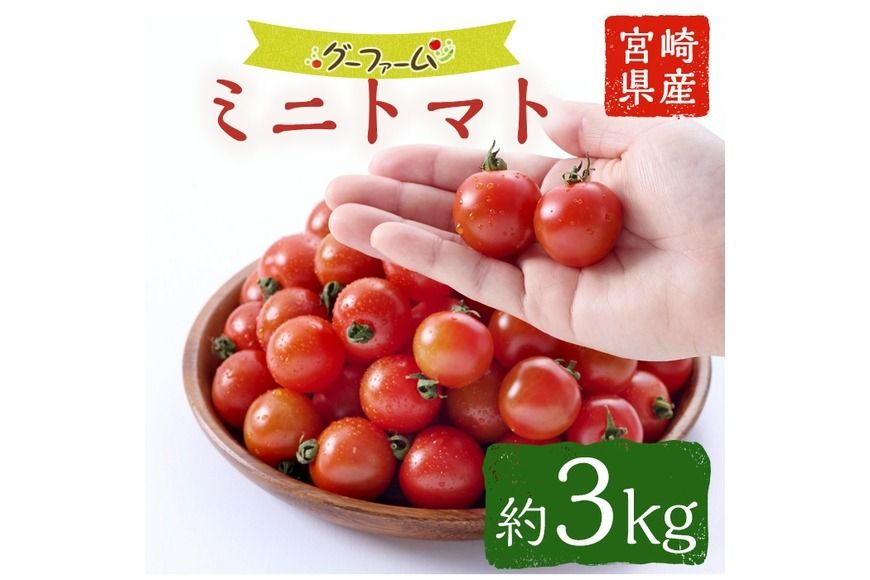 [先行予約受付中!2025年12月から順次発送予定][期間限定] ミニトマト(約3kg) ミニトマト(約3kg)野菜 とまと フルーツトマト サマー千果 アイコ サラダ [GF-2][グーファーム]