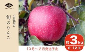 長野県産 季節の旬のりんご 約3kg 6～12玉［小布施屋］ りんご 林檎 リンゴ 果物 フルーツ 令和7年産 【2025年10月～2026年2月発送】 ［H-72］