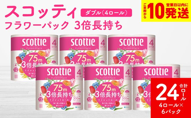 �y�F�{������s�z�y�X�R�b�e�B�z �t�����[�p�b�N 3�{������ 4���[���i�_�u���j×6�p�b�N ���v24���[�� ����� ���p�i �����K���i ���Օi �� �܂Ƃߔ��� �X�g�b�N ���~ �g�C���b�g�y�[�p�[ ������