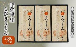 うどん 手延 半生 こびきうどん 200g×6袋 麺類 麺