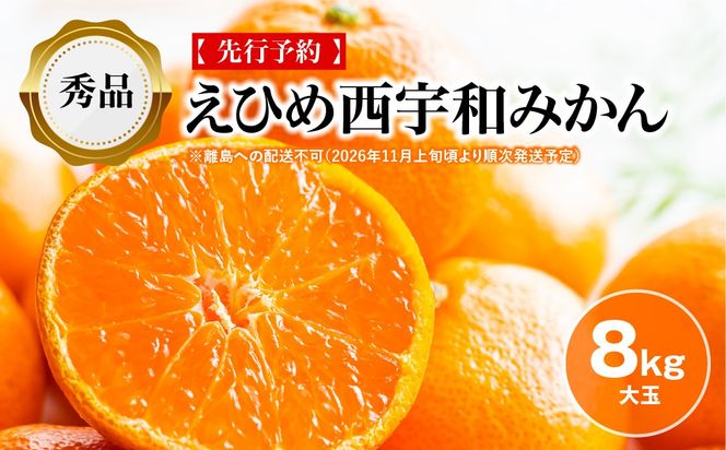 【先行予約】【秀品】えひめ西宇和みかん 8kg（大玉）※離島への配送不可（2026年11月上旬頃より順次発送予定） IKTAR002