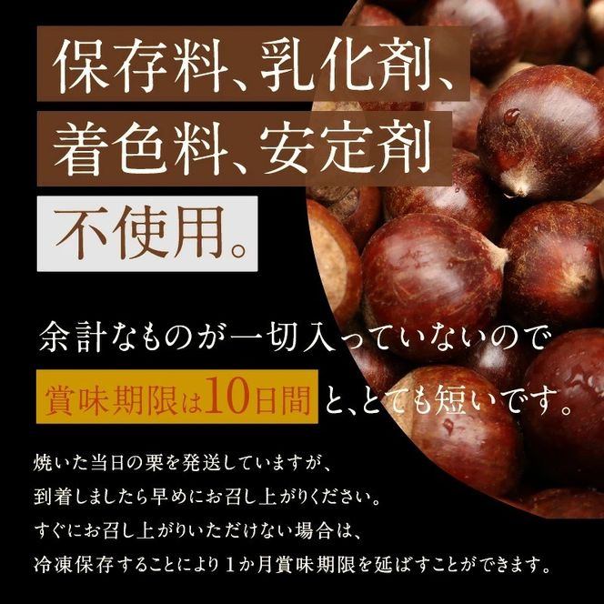 【2026年6月発送】【特別容量 1.6kg⇒2kg】 （ 生活応援 ） この道50年の職人が焼く､やさしい甘みたっっっぷり！｢天津甘栗｣ 2kg 焼きたて 栗 くり 栗爪 殻付き お菓子 おつまみ 人気 高リピート 小分け 栗ご飯 栗きんとん 甘露煮 選べる 発送月 感謝を込めて 碧南市 H045-107_Jun