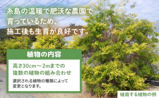グリーンコーディネートチケット 11,000円分 【施工込み】 糸島市 / サン・グリーン 園芸 植木[AVN002] 庭 施工 チケット 造園 園芸 緑化 工事 樹木 植物 グリーン 植栽