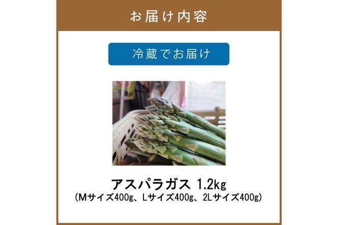【予約：2026年4月中旬から順次発送】ハウス栽培 グリーンアスパラ 1.2kg ( アスパラガス 野菜 新鮮 朝採れ )【231-0001】