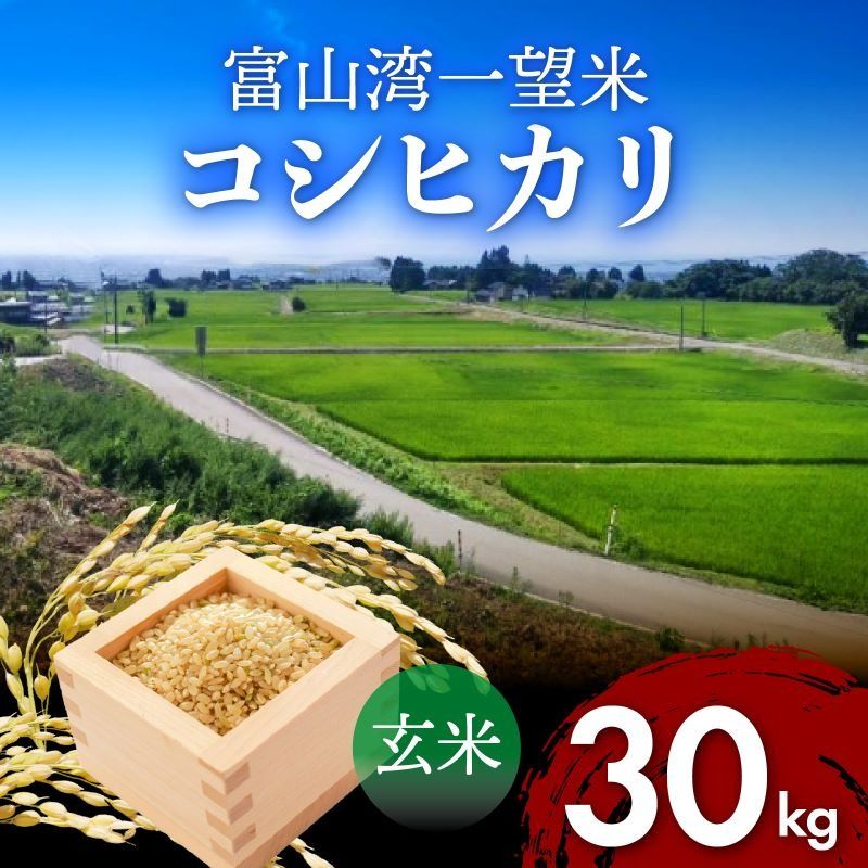 新米 富山湾一望米 コシヒカリ 玄米 [容量30kg][2025年10月より順次発送]