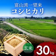 新米 富山湾一望米　コシヒカリ 玄米 【容量30kg】【2025年10月より順次発送】 