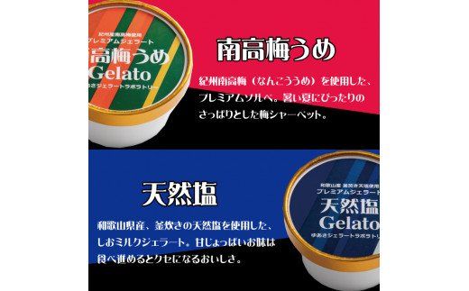 プレミアムジェラート 詰め合わせセット（6種類×2個） アイスクリームセット 100mlカップ ゆあさジェラートラボラトリー【kztb701】