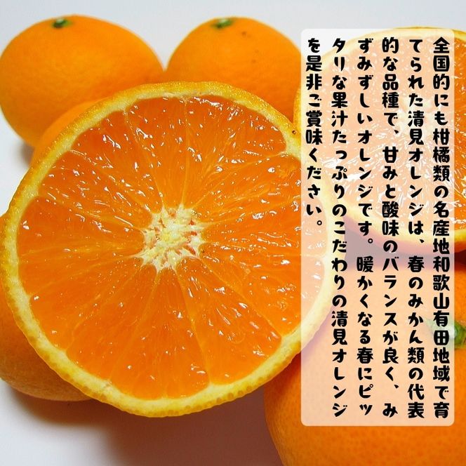【特撰】完熟 清見オレンジ 農家直送 約5.2kg(5kg+200g(補償分))