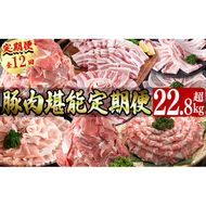 【定期便全12回】豚肉堪能定期便(12ヶ月連続・総量22.8kg以上) t0176-001