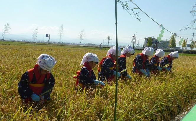 北本農場 こだわりのお米 令和7年産 石川県 にこまる米 白米10kg