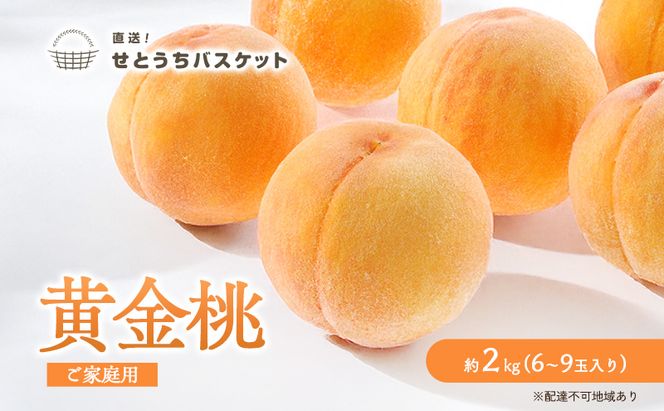 桃 2027年 先行予約 岡山 黄金桃 ご家庭用 約2kg 6～9玉入り もも モモ 岡山県産 国産 フルーツ 果物 直送！せとうちバスケット スイーツ こだわり 特産品 白い 香り 果汁 シーズン 濃厚