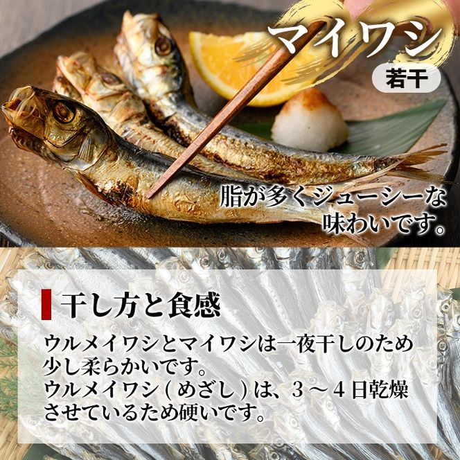 数量限定！イワシ丸干し3点セット(合計100尾以上) 国産 鹿児島県産 阿久根市産 魚 魚介 水産 いわし 鰯 ウルメイワシ うるめいわし めざし マイワシ まいわし 食べ比べ セット 詰め合わせ【鈴木海産】akn091-01