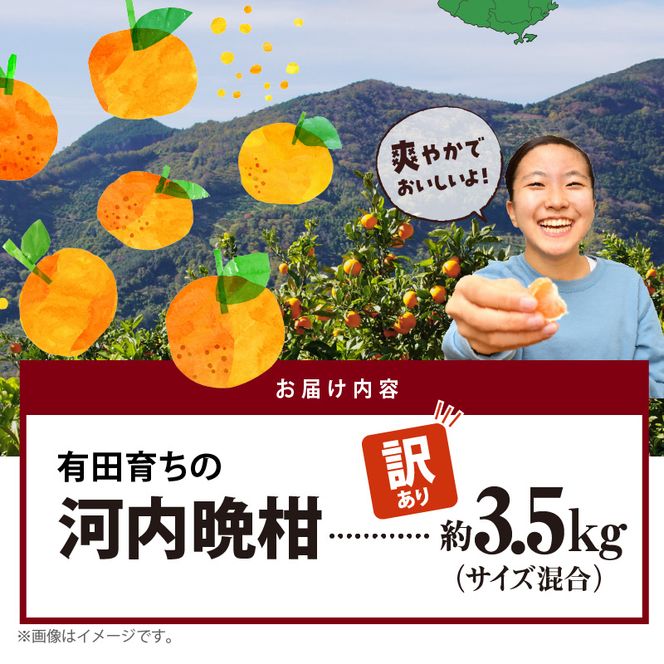 AB7041n_有田育ちの 河内晩柑 【訳あり 家庭用】3.5kg (サイズ混合)【ミカン 蜜柑 灘オレンジ サウスオレンジ 柑橘 フルーツ 和歌山 有田】