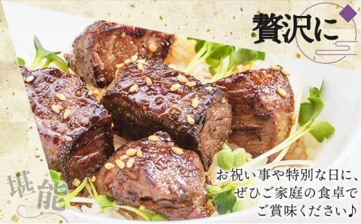 【5回定期便】180g×6枚 佐賀牛ヒレ