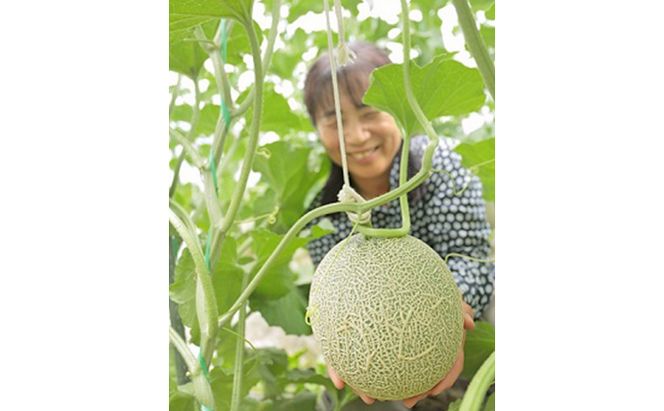 メロン農家のメロン・ダックワーズ10個入 お菓子 焼菓子 スイーツ 