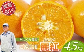 【数量限定】ご家庭用 たにぐち農園の麗紅 (れいこう) 約4.5㎏ Lサイズ以上 みかん ミカン 柑橘 フルーツ 果物 くだもの 家庭用 れいこう オレンジ 旬 産地直送 農家直送 【2026年2月より順次発送予定】【mtn104】
