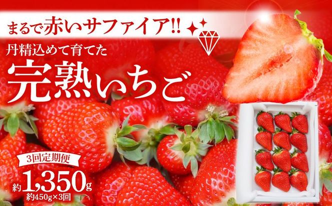 （予約受付中）【いちご定期便】（1月2月3月お届け）まるで赤いサファイア!!丹精込めた完熟いちご!! 約450g×3回 H130-017