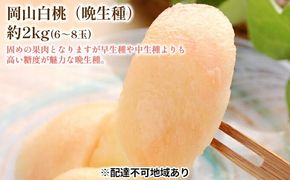 固めの 桃 2026年 先行予約 白桃 晩生種 2kg 6～8玉 もも モモ 岡山 国産 フルーツ 果物 ギフト 桃茂実苑