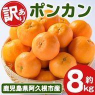 訳あり！ポンカン(約8kg) 国産 ポンカン 柑橘 果物 フルーツ デザート 果実 期間限定 数量限定【古田果樹園】akn093-05