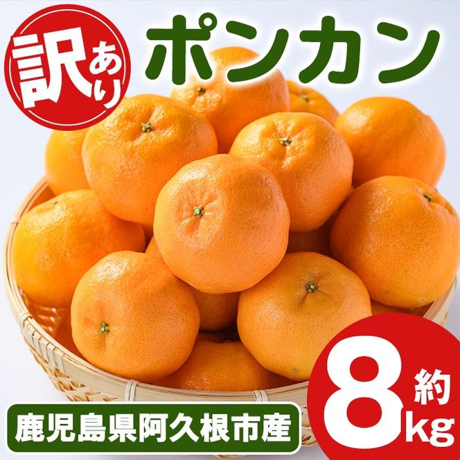 訳あり！ポンカン(約8kg) 国産 ポンカン 柑橘 果物 フルーツ デザート 果実 期間限定 数量限定【古田果樹園】akn093-05