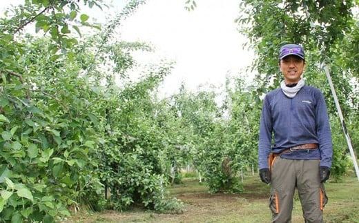 サンふじ 贈答用 約5kg 10～18玉 ［小布施屋］ りんご 林檎 リンゴ 果物 フルーツ 令和7年産【2025年11月下旬～2026年2月発送】［A-209］