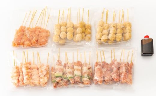 絶品！九州産焼鳥 5種盛合せ 60本（タレ付き）C-627